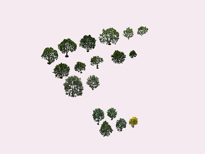 Multiple Arbor Trees of Various Sizes Naturally Growing on Light Colored Background 3d model