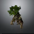 Mythical Creature Character With Tree Covered Back And Rock Like Body Structure