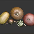 Different Colored Pumpkins In Various Shapes With Seeds On Black Reflective Surface