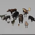 Various Wild Animals With Moose Bear Wolf Pig Fox And Smaller Creatures 3d model