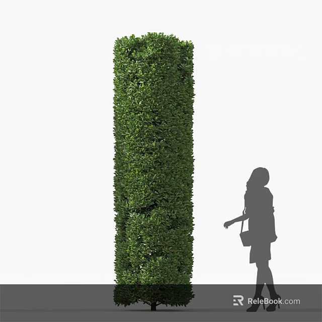 Tall Lush Green Trimmed Shrub Column With Person Silhouette Standing Nearby 3d model 