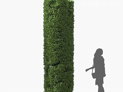 Tall Lush Green Trimmed Shrub Column With Person Silhouette Standing Nearby 3d model