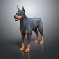 Doberman Pinscher Dog Standing With Black And Tan Coat On Dark Reflective Surface