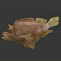 Unique Pink Patterned Fish With Intricate Textured Body Against Dark Background 3d model