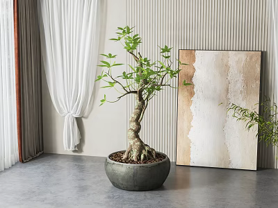 Indoor Bonsai Plant In Gray Pot With White Curtains And Abstract Painting 3d model