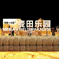 Golden Wheat Field Photo Check-in Spot With Wooden Plank Path Scarecrows And Windmill