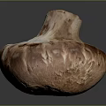 Brown Mushroom With Textured Cap On Gray Background And Glossy Surface View 3d model