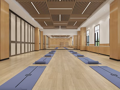 Spacious Yoga Studio With Wooden Interior And Yoga Mats 3d model