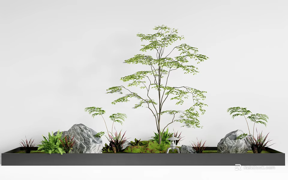 Lush Green Plants And Tall Tree With Rocks And Ferns Against White Wall 3d model 
