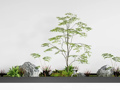 Lush Green Plants And Tall Tree With Rocks And Ferns Against White Wall 3d model
