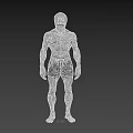 Game Movie Character With Skull Face Muscular Body And Black Shorts 3D Concept Art