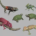 Vibrant Reptiles Collection Including Red Chameleon Green Turtles And Orange Lizards In Various Poses