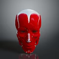 Human Head Muscle Anatomical Model With Detailed Red And White Structure 3d model