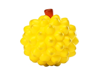 cartoon fruit durian 3d model