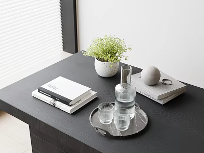 Elegant Decorative Ornament Set Featuring Green Plant Books Glassware And Gray Sphere On Black Table 3d model