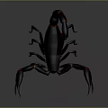 Realistic 3D Scorpion Model with Dark Blue Body Red Claws and Tail