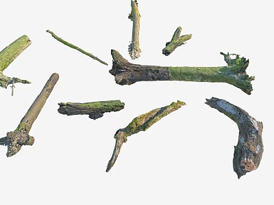 Natural Stone and Wood Logs with Rustic Branches and Mossy Finish 3d model Natural Stone and Wood Logs with Rustic Branches and Mossy Finish 3d model