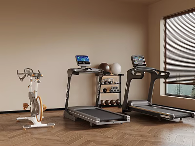 Indoor Fitness Equipment Including Treadmill Exercise Bike Dumbbells And Exercise Ball In Home Gym Room 3d model