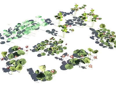 Vibrant Green Leafy Plants and Red Small Flowers in Garden Arrangement 3d model