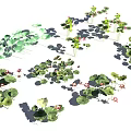 Vibrant Green Leafy Plants and Red Small Flowers in Garden Arrangement