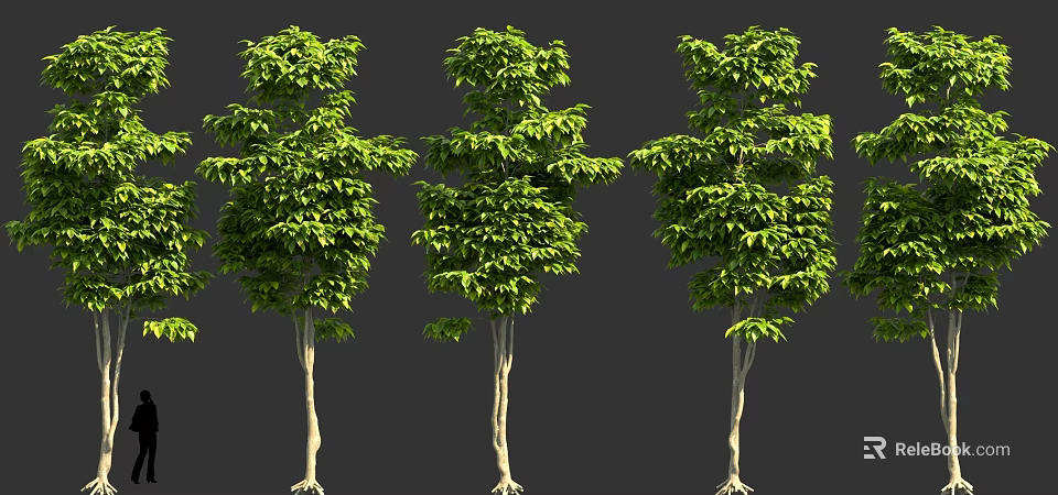 Green Leafy Arbor Trees With Lush Foliage And Straight Trunks 3d model 