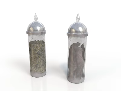 Transparent Salt And Pepper Containers With Silver Lids For Kitchen Use 3d model