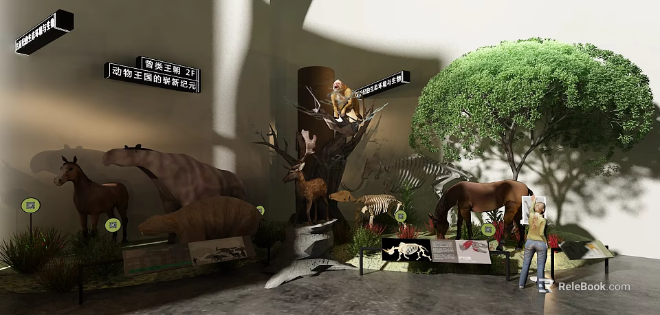 Natural History Exhibition Interior With Animal Specimens Display Cases And Tree Models 3d model 
