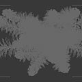Golden Brown Decorative Plant Foliage With Blooms Against Dark Background And Ruler Scale Size Measurement