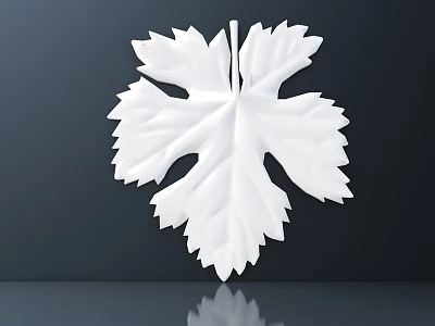 White Carved Leaf Shaped Decorative Art on Dark Background with Reflection 3d model