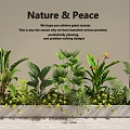 Plant Pile Green Plant Combination Indoor Landscape Flower Pond Flower Box 3d model