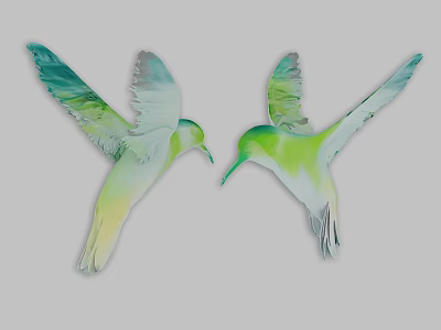 Two Green And White Hummingbirds Flying With Spread Wings In Mid Air 3d model