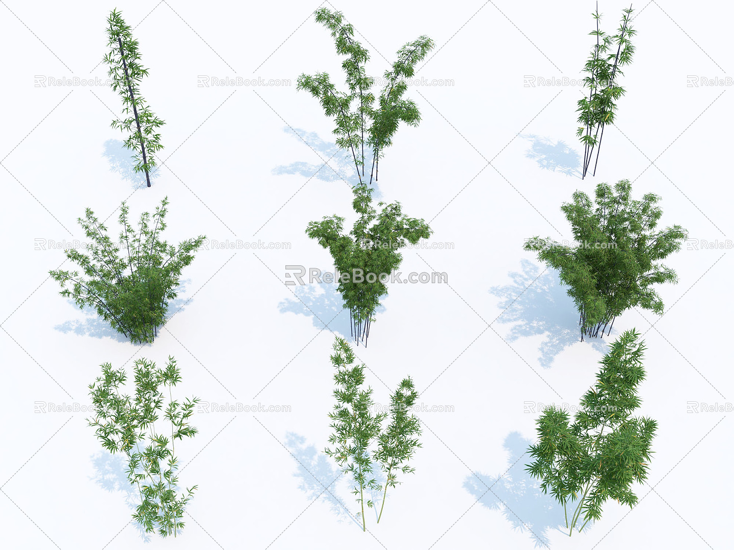 Modern Bamboo Bamboo Plant 3d model