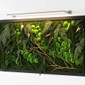 Modern Indoor Living Plant Wall Design With Lush Ferns Moss And Hanging Vines