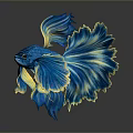 Vibrant Blue And Yellow Betta Fish With Flowy Fins And Gorgeous Appearance
