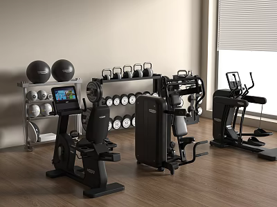 Modern Home Gym Sports Equipment With Dumbbell Rack Exercise Balls Strength Machines And Bike 3d model