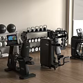 Modern Home Gym Sports Equipment With Dumbbell Rack Exercise Balls Strength Machines And Bike