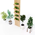 Various Bonsai Potted Plants With Wooden Shelf And Different Pot Designs For Indoor Decoration