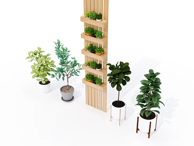 Various Bonsai Potted Plants With Wooden Shelf And Different Pot Designs For Indoor Decoration 3d model