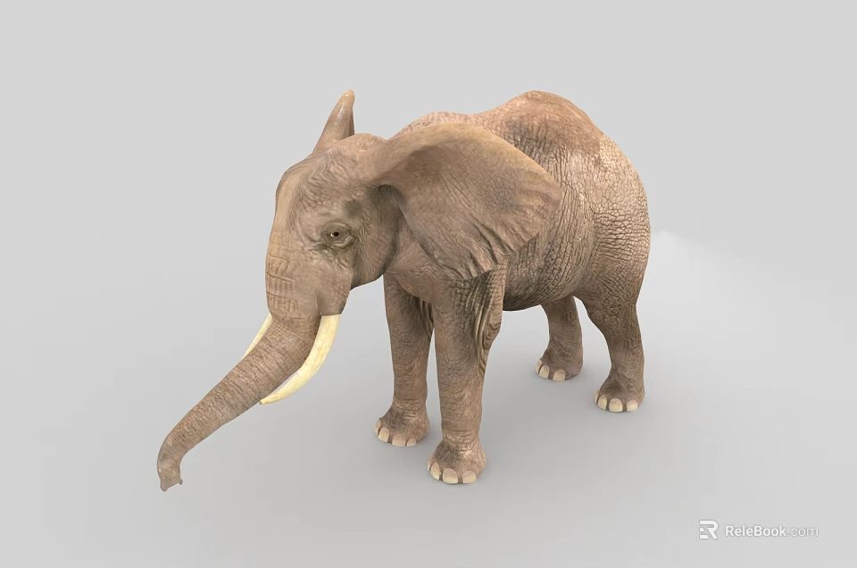 Realistic 3D Reptile Model With Brown Skin Standing On Gray Background 3d model 