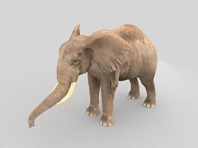 Realistic 3D Reptile Model With Brown Skin Standing On Gray Background 3d model