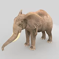 Realistic 3D Reptile Model With Brown Skin Standing On Gray Background