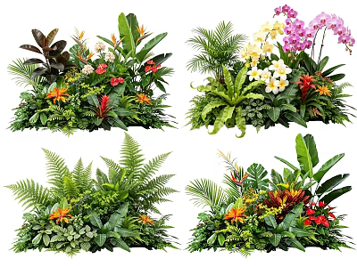 Lush Tropical Plant Combinations With Ferns Orchids Green Foliage And Colorful Flowers 3d model