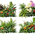 Lush Tropical Plant Combinations With Ferns Orchids Green Foliage And Colorful Flowers