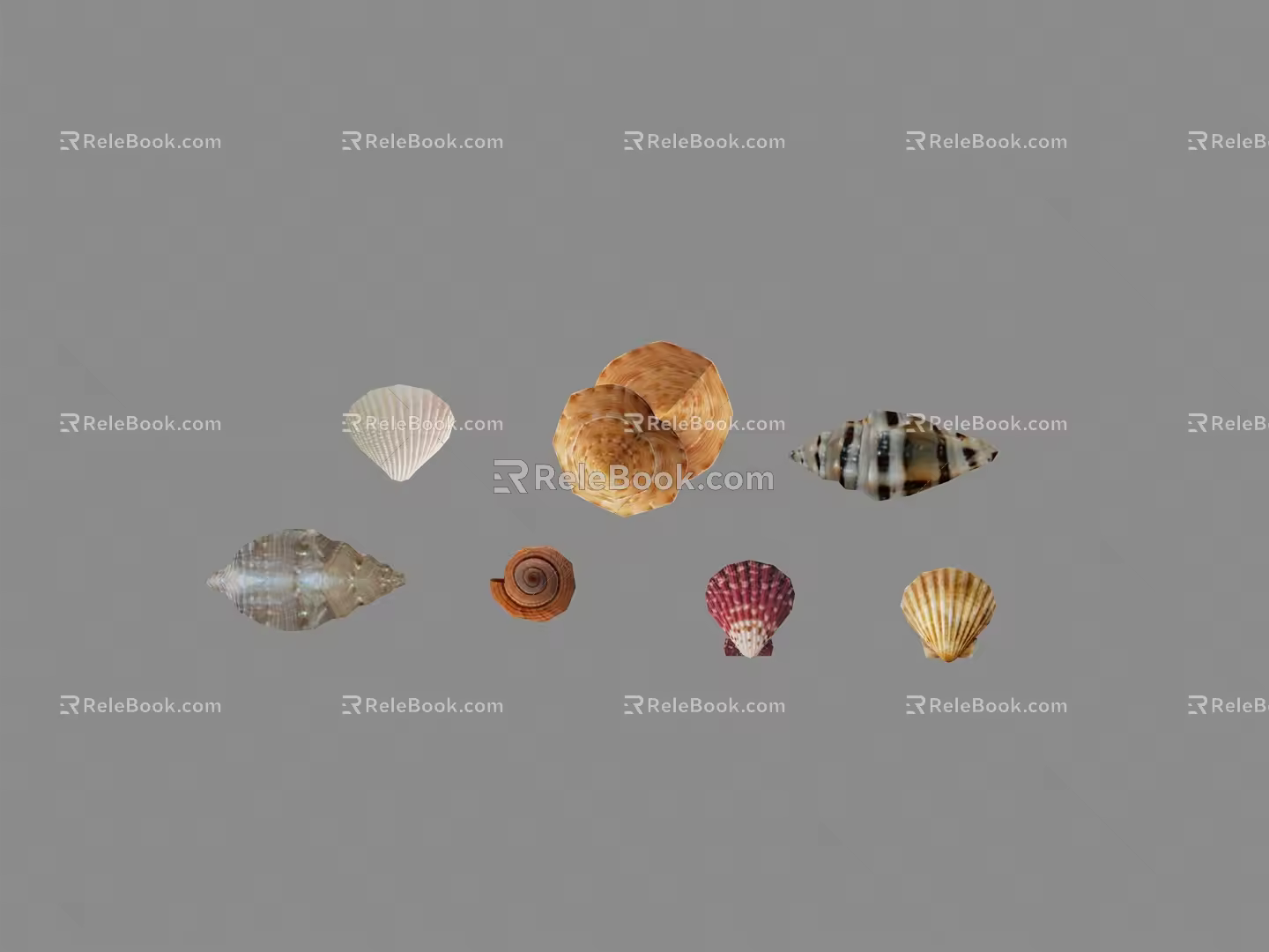 Modern Shellfish 3d model