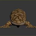 Brown Spotted Lizard on Dark Surface with Shiny Reflection and Detailed Skin