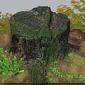 Lush Moss Covered Wooden Stump with Ferns and Mushrooms in Natural Setting