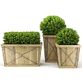 Decorative Green Round Bonsai Potted Plants in Wooden Planters with Cross Design