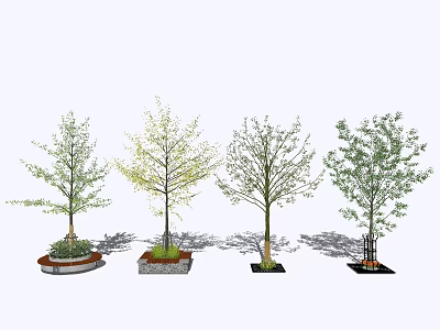 Various Tree Planter Designs With Trees And Decorative Bases 3d model