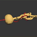 Anatomical Structure Model with Yellow Sphere Red and Blue Twisted Lines on Dark Background
