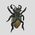 Green And Yellow Horned Reptile With Detailed Shell And Leg Structure